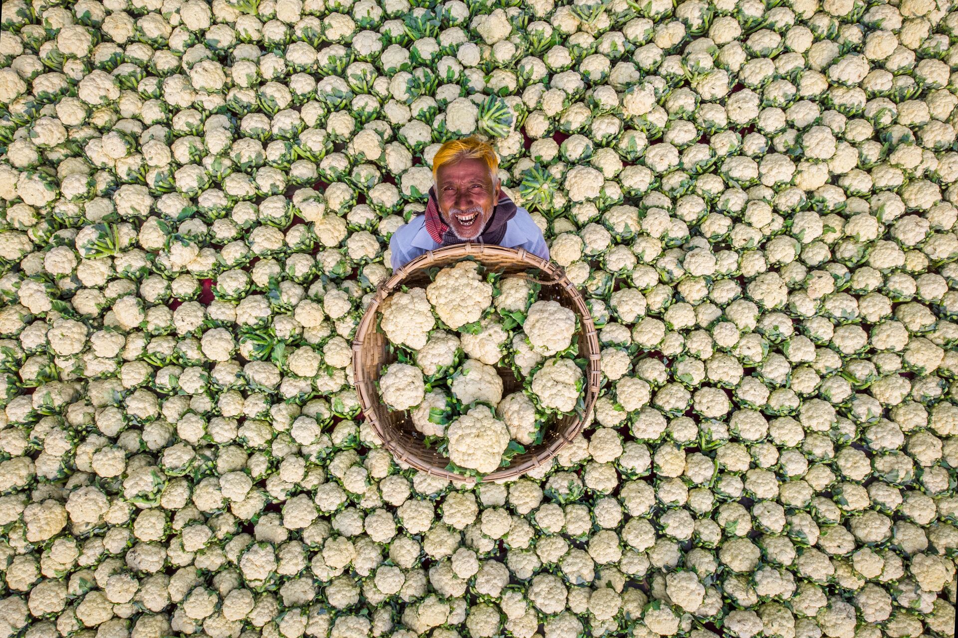Работа бангладешского фотографа Рафида Ясара Счастливый фермер - Sputnik Абхазия, 1920, 12.10.2021