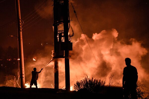 Местные жители в лесу Татои недалеко от Ахарнеса, где вспыхнул лесной пожар. - Sputnik Абхазия