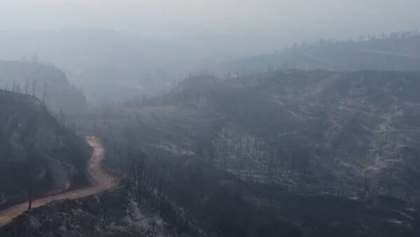 На кадрах с дрона запечатлены последствия разрушительных пожаров возле Платаноса - Sputnik Абхазия