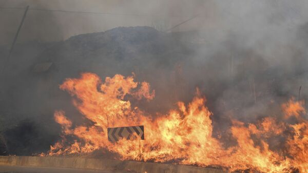 Пожар на дороге в муниципалитете Блуфи, Сицилия - Sputnik Абхазия