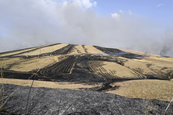 Выгоревшее после природного пожара на Сицилии поле. - Sputnik Абхазия