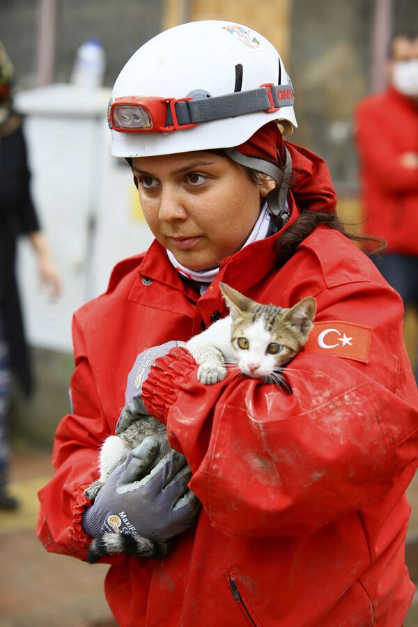 Спасатель с котенком, спасенным из здания в городе Бозкурт провинции Кастамону, Турция - Sputnik Абхазия