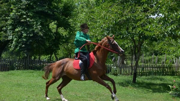 Любовь и лошади Отара Чанба: как житель Лыхны возводит апацхи и воспитывает скакунов  - Sputnik Абхазия