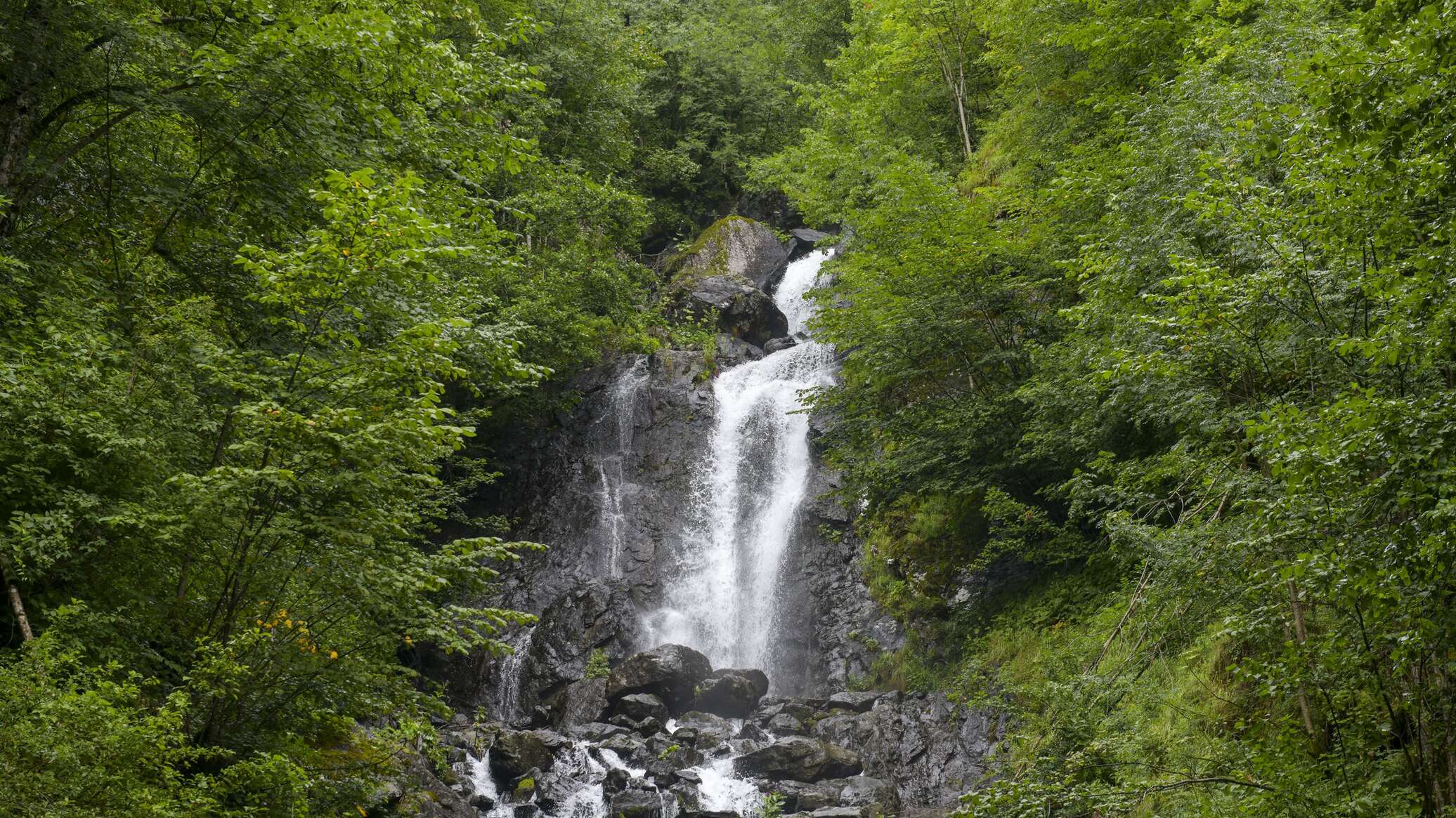 Погода новый афон абхазия на 10 дней. Молочный водопад Абхазия. Рицинский реликтовый национальный парк 2022. Гегский водопад Абхазия сейчас. Тайга Абхазия водопад.