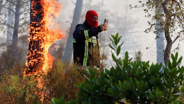 Пожарный фотографируется напротив горящего дерева во французском департаменте Вар  - Sputnik Абхазия