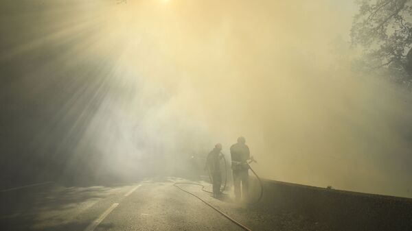 Пожарные тушат пламя лесного пожара возле Гонфарона, на юго-востоке Франции - Sputnik Абхазия