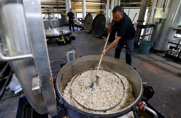 Рабочие готовят цветы жасмина для экстракта аромата, который будет использоваться для создания духов Шанель №5 - Sputnik Абхазия