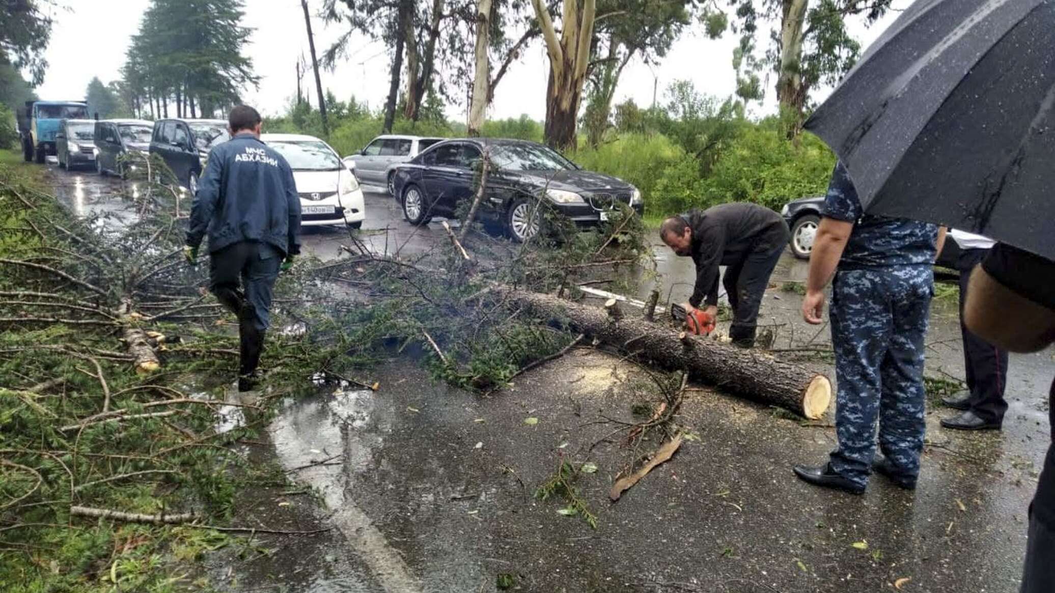 Новости абхазии спутник. Упало дерево в Абхазии. Погибающие дерево в Абхазии. ДТП В Абхазии 2016 г с Кындыг. Авария с деревом в Абхазии 4 октября 2018 года.
