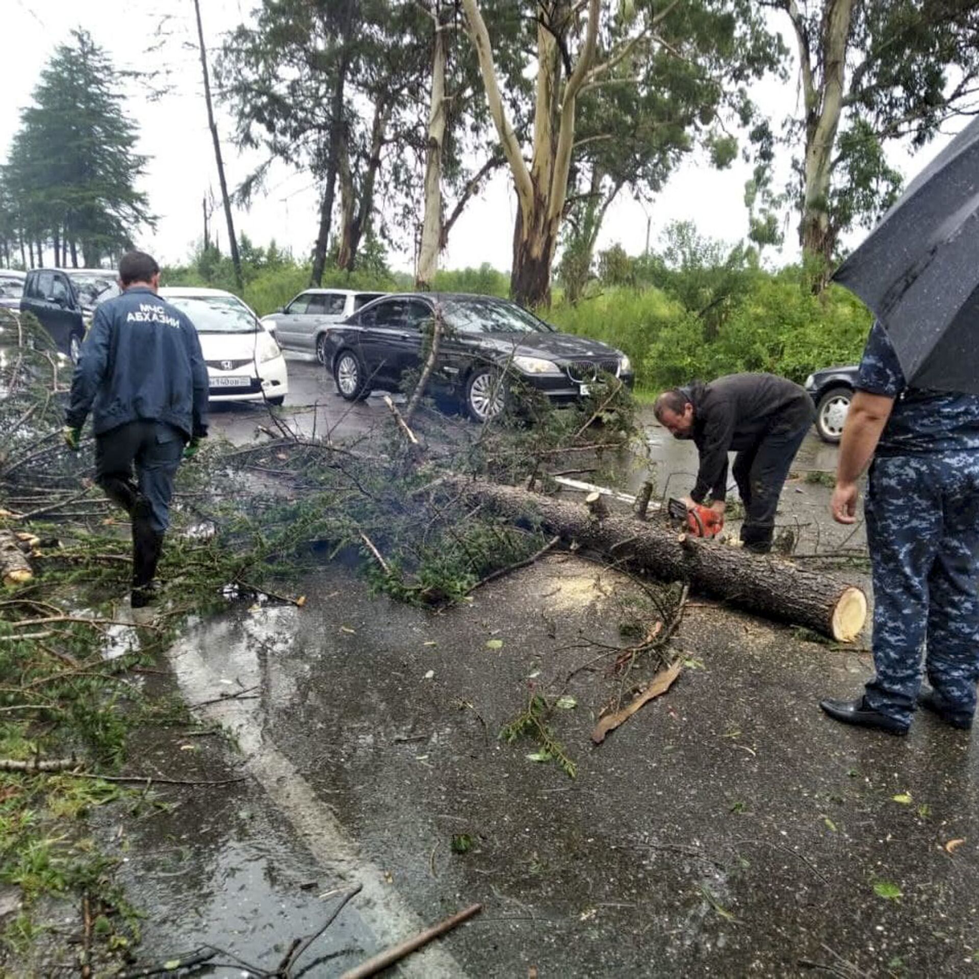 Девушка упавшая в абхазии. Дерево упало на машину в Абхазии. АБНИЛОС Очамчыра. В Абхазии упало дерево на пограничников.