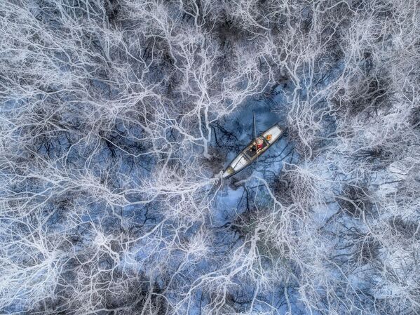 Снимок Fishing in Mangrove Forest фотографа Trung Pham Huy, занявший 1 место в категории People в конкурсе Drone Awards 2021 - Sputnik Абхазия