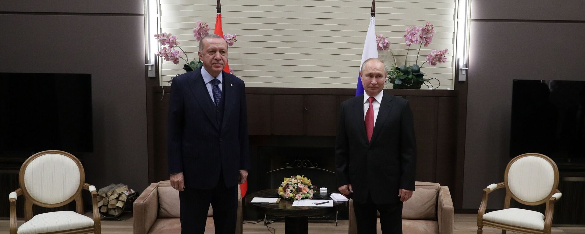 Президент РФ В. Путин провел переговоры с президентом Турции Р. Эрдоганом - Sputnik Абхазия, 1920, 29.09.2021