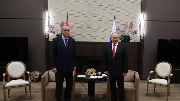 Президент РФ В. Путин провел переговоры с президентом Турции Р. Эрдоганом - Sputnik Абхазия