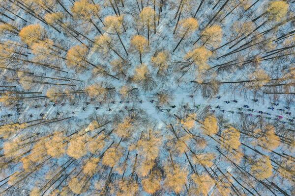 Снимок На лыжах в весну китайского фотографа Чан Сюй, победивший в категории Моя Планета, одиночные фотографии конкурса имени Стенина - Sputnik Абхазия