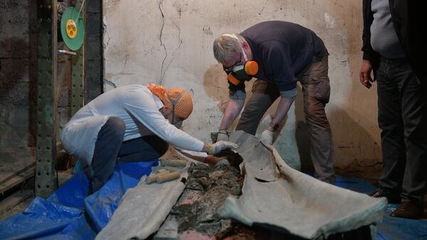 Ученые вскрыли уникальный саркофаг, найденный в городище Гюэнос 
 - Sputnik Абхазия