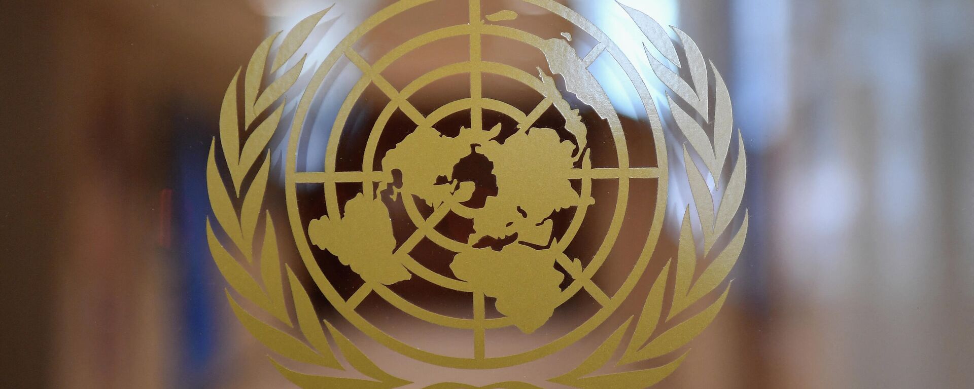 Логотип Организации Объединенных Наций будет виден внутри Организации Объединенных Наций  - Sputnik Абхазия, 1920, 21.10.2021