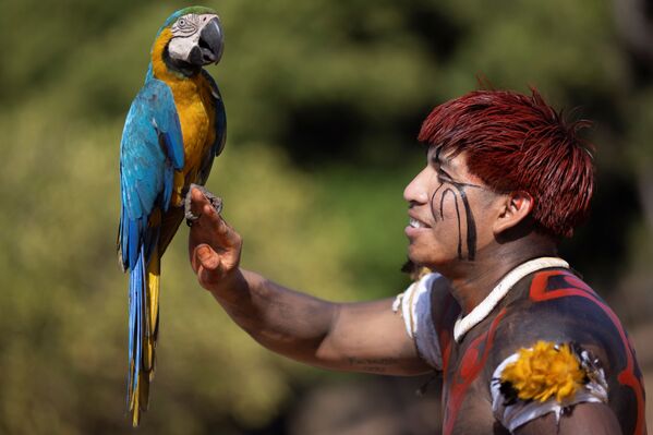 Мужчина с попугаем Ара на похоронном ритуале Куаруп в Бразилии. - Sputnik Абхазия