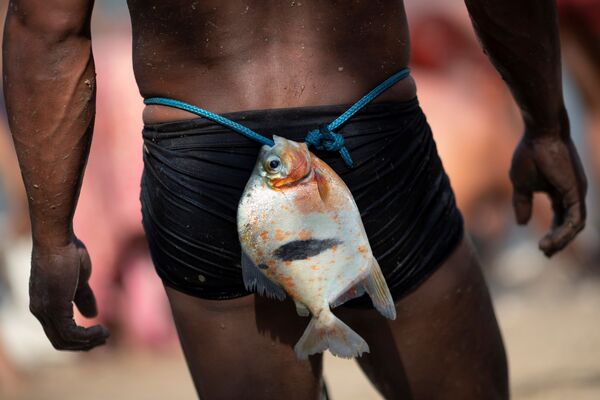 Мужчина явалапити привязал к талии рыбу, пойманную на реке Туатуари. - Sputnik Абхазия