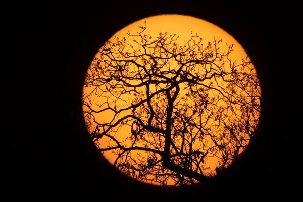Луна в небе над парком коренных народов Шингу в Бразилии. - Sputnik Абхазия