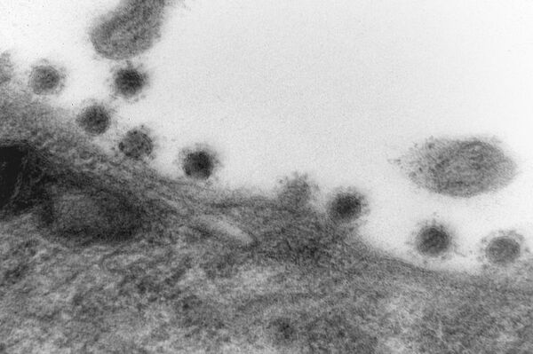 Центр Вектор опубликовал фото дельта-штамма коронавируса - Sputnik Абхазия