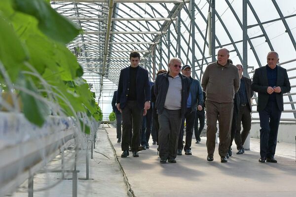 Президент посетил Кындыгское тепличное хозяйство Кындыг-Агро - Sputnik Абхазия