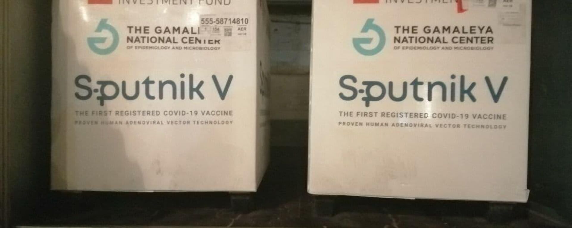 В Абхазию доставлена вакцина SPUTNIK V - Sputnik Аҧсны, 1920, 16.11.2021