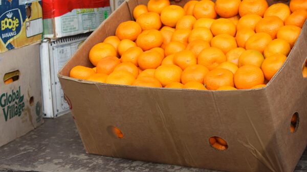 Экспорт цитрусовых из Абхазии в Россию достиг двух тысяч тонн - Sputnik Абхазия