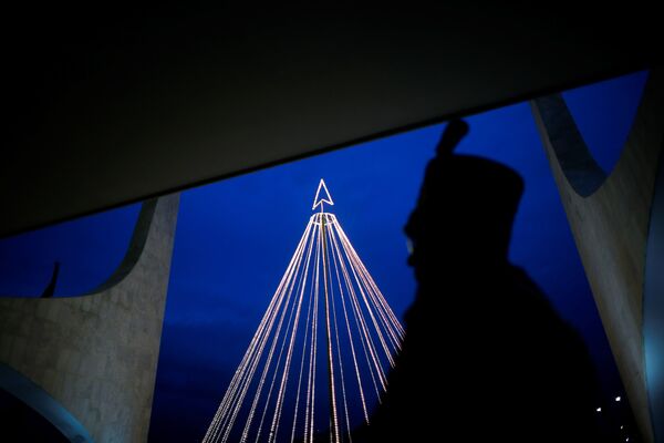 Солдат президентской гвардии перед рождественской елкой во дворце Планальто в Бразилии. - Sputnik Абхазия