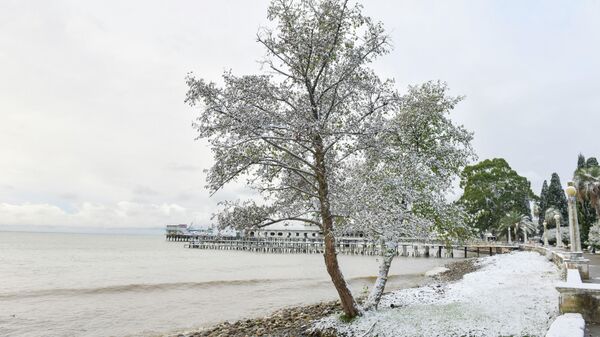 Первый снег в Сухуме 2021 - Sputnik Абхазия