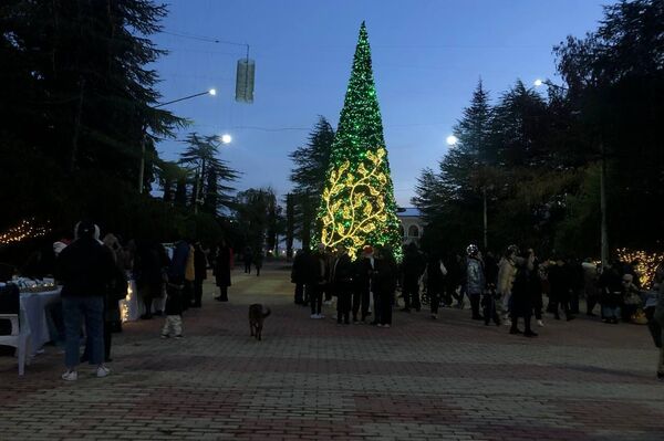 Букеты из аджинджуха и новогодние пряники: в Гудауте прошла первая ярмарка - Sputnik Абхазия
