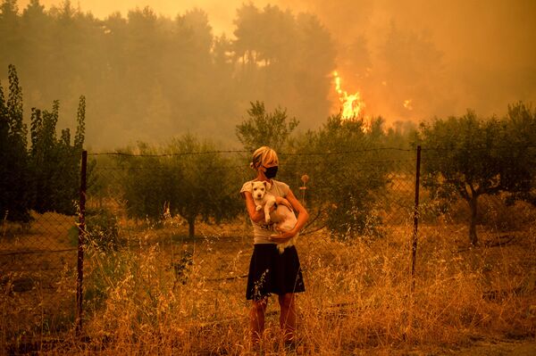 Девушка с собакой во время природных пожаров в Греции. - Sputnik Абхазия