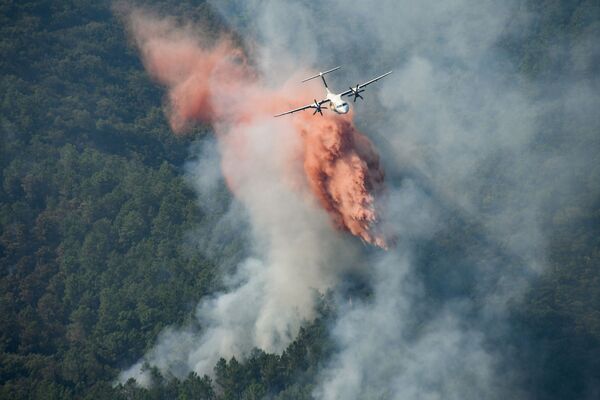 Самолет сбрасывает огнезащитный состав на дымящийся лесной пожар на склоне холма в департаменте Вар, Франция. - Sputnik Абхазия