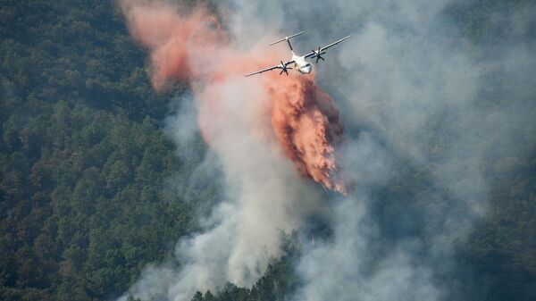 Самолет сбрасывает огнезащитный состав на дымящийся лесной пожар на склоне холма в департаменте Вар, Франция - Sputnik Абхазия