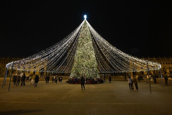 Новогоднее дерево украсили игрушками и гирляндами и накрыли светящимся шатром. - Sputnik Абхазия