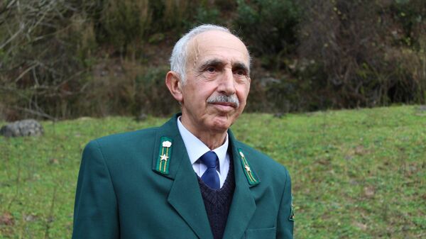 Такие обстоятельства: Сичинава о незаконной вырубке елок - Sputnik Абхазия