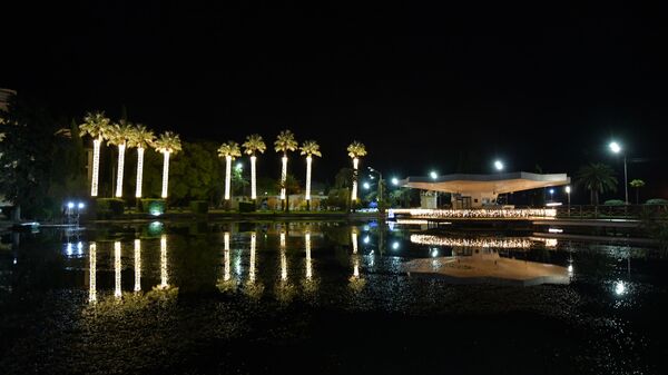 Новогодние украшения в Новом Афоне  - Sputnik Абхазия