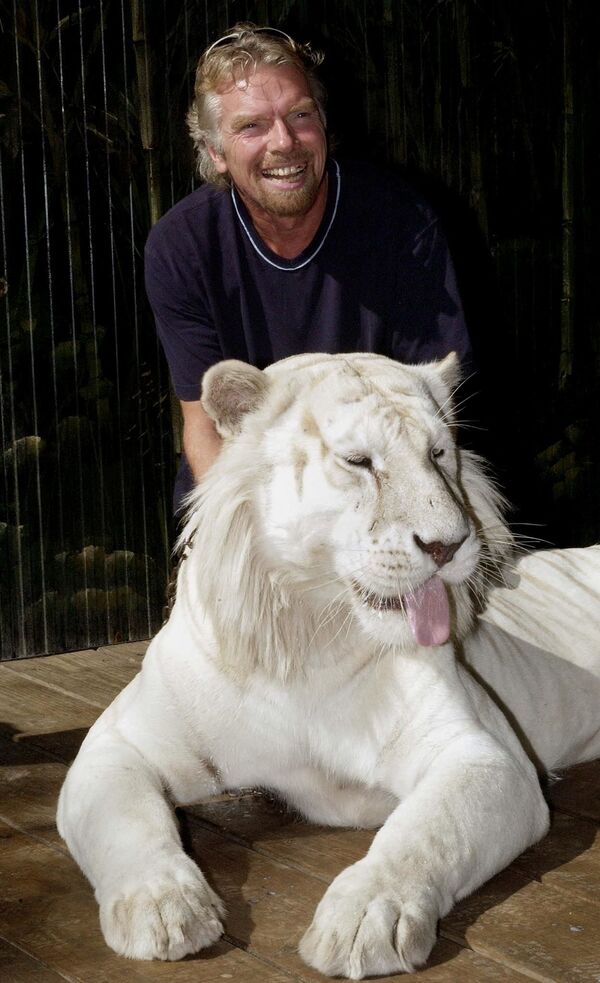 Британский магнат Ричард Брэнсон с белым бенгальским тигром, Австралия. - Sputnik Абхазия