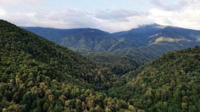 Кавказский государственный природный биосферный заповедник им. Шапошникова