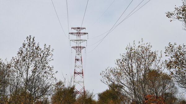 Опоры высоковольтного электричества через реку Амур в Хабаровском крае - Sputnik Аҧсны