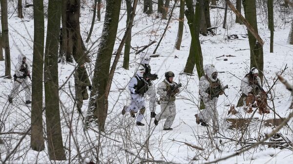 Военнослужащие Сил территориальной обороны Украины - Sputnik Абхазия