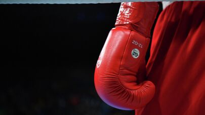 Боксерская перчатка 