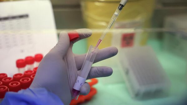 Палестинский лаборант из Министерства здравоохранения обрабатывает большое количество образцов мазков из носа для тестирования на коронавирус в оккупированном городе Хеврон на Западном берегу - Sputnik Абхазия
