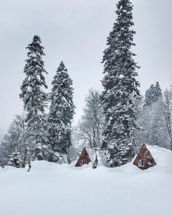 Толщина снега местами достигает двух с половиной метров. - Sputnik Абхазия
