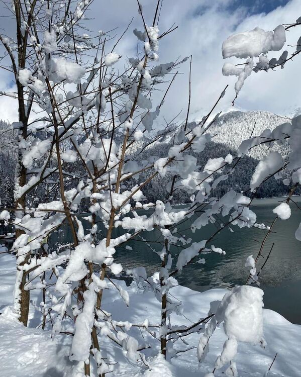 Снег в Абхазии, как правило, влажный и тяжелый. - Sputnik Абхазия