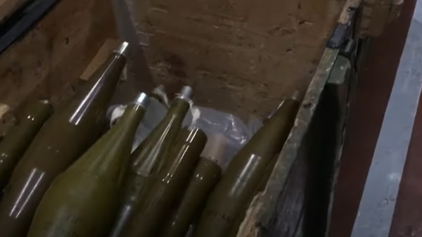 Оружие и боеприпасы: что бойцы Росгвардии обнаружили на Запорожской АЭС - Sputnik Абхазия