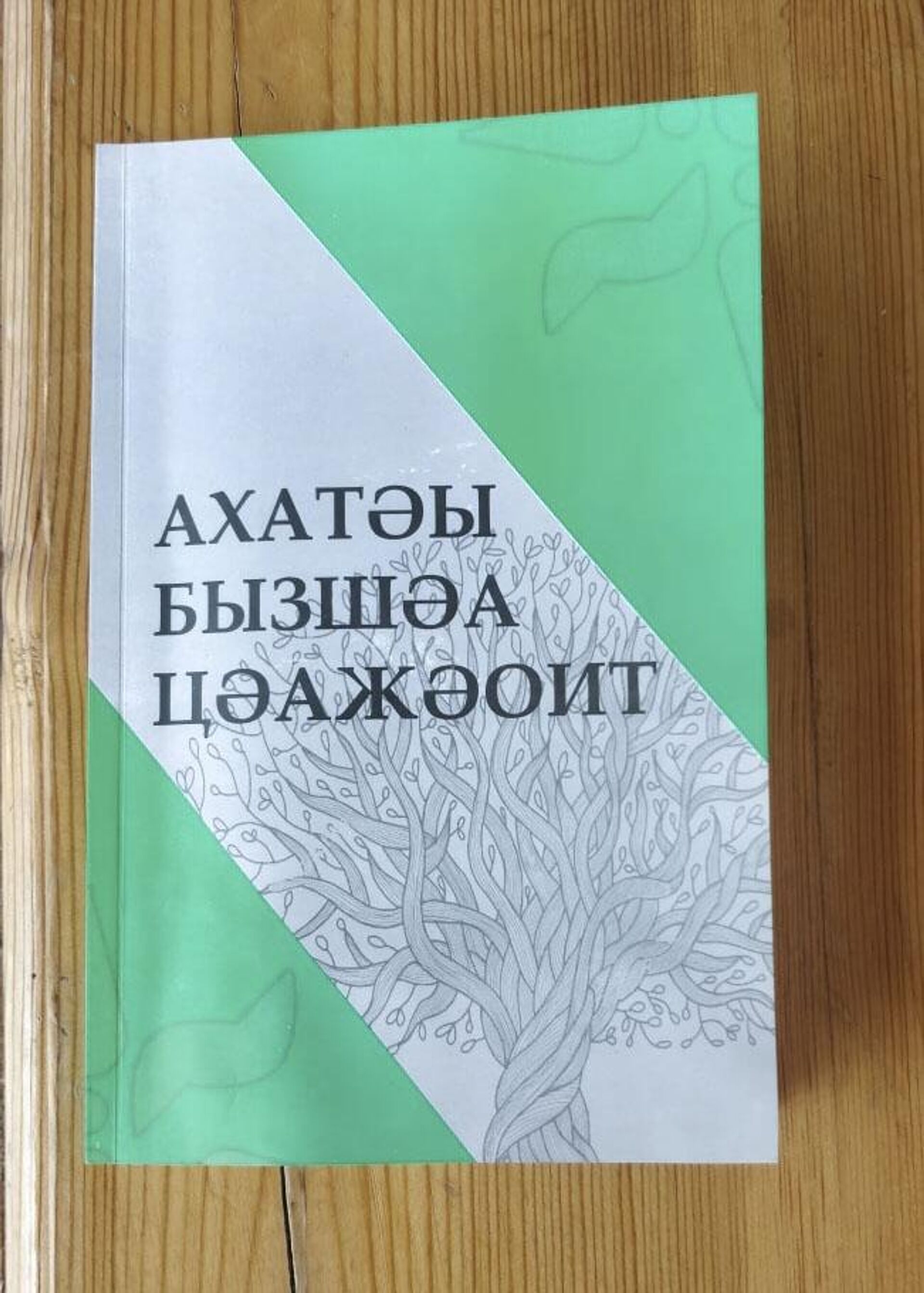 Лагулаа презентации книг - Sputnik Аҧсны, 1920, 26.03.2022
