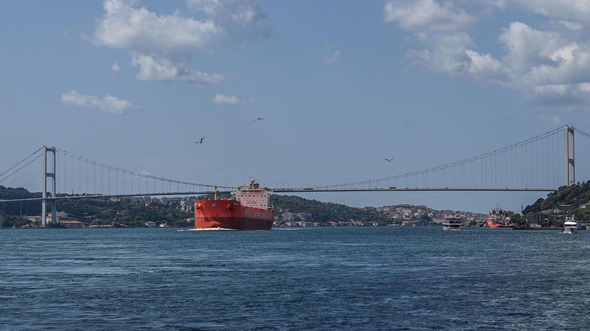 Коммерческое судно проплывает под Мостом мучеников 15 июля, также известным как Босфорский мост, в проливе Босфор - Sputnik Аҧсны, 1920, 11.04.2022