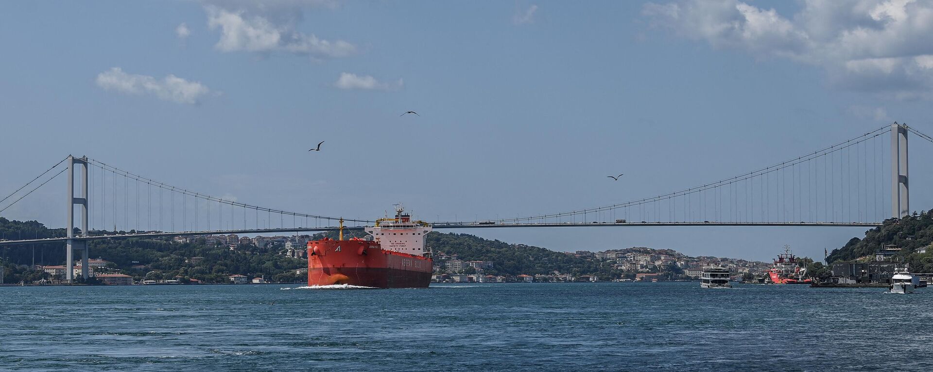 Коммерческое судно проплывает под Мостом мучеников 15 июля, также известным как Босфорский мост, в проливе Босфор - Sputnik Абхазия, 1920, 03.11.2022