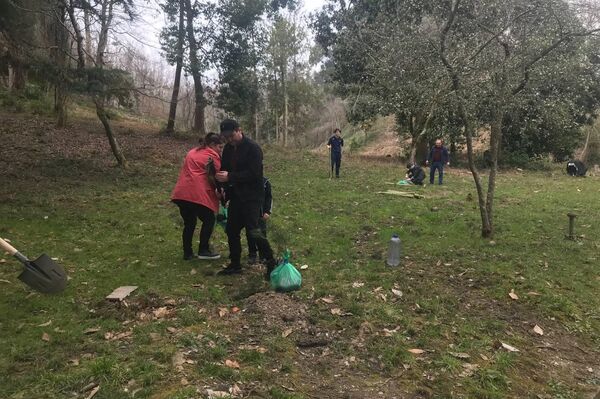 Экологическая акция по высадке деревьев в Мюссере - Sputnik Абхазия