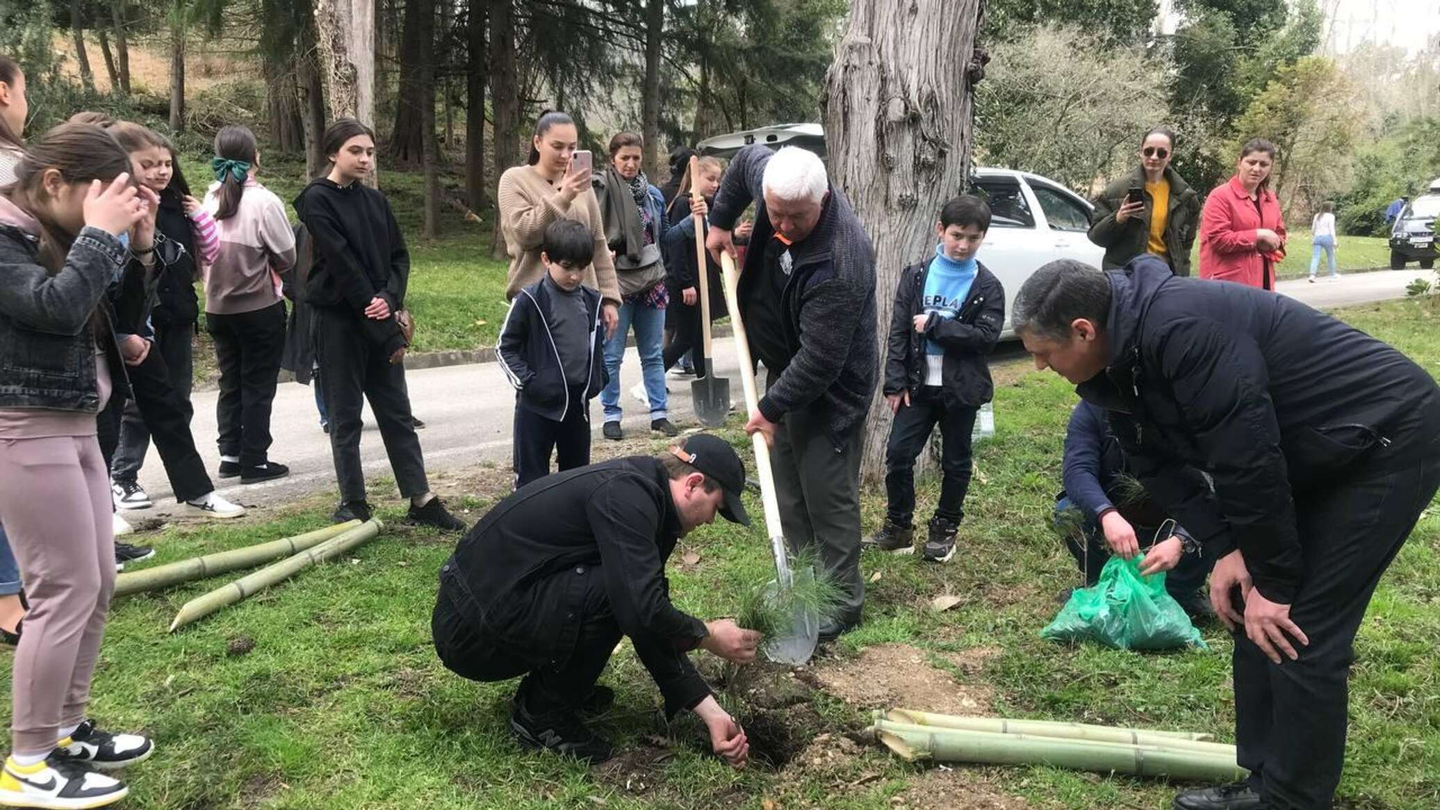 Процедура омолаживания: экологическая акция прошла на госдачах в Мюссере -  01.04.2022, Sputnik Абхазия