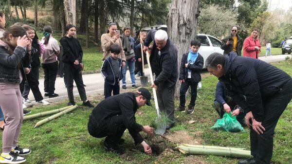 Экологическая акция по высадке деревьев в Мюссере - Sputnik Абхазия